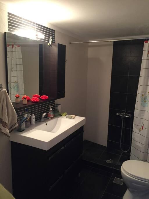 Apartament Irene